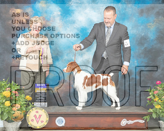 Brittany #6 Fri BOB Judge Judy Brown_MMJ_1018_SanAnonio2021_HR3