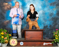 Brussels Griffon #6 Fri G1 Judge John Constantine Amodei