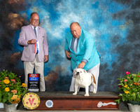Bulldog #8 Thur BOS Judge John Constantine Adomei