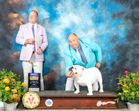 Bulldog #9 Thur BOB Judge John Constantine Adomei