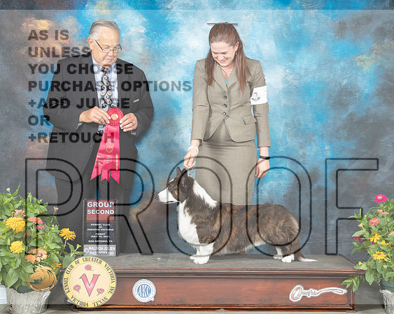Cardigan Welsh Corgi #7 Fri G2 Judge John Wade_MMJ_1096_SanAnonio2021_HR3