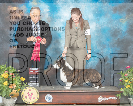 Cardigan Welsh Corgi #7 Fri G2 Judge John Wade_MMJ_1095_SanAnonio2021_HR3