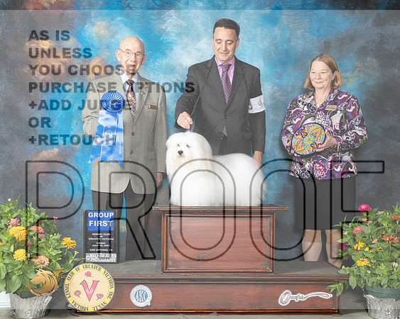 Coton #9 Fri G1 Judge Ken Buxton_MMJ_0878_SanAnonio2021_HR3
