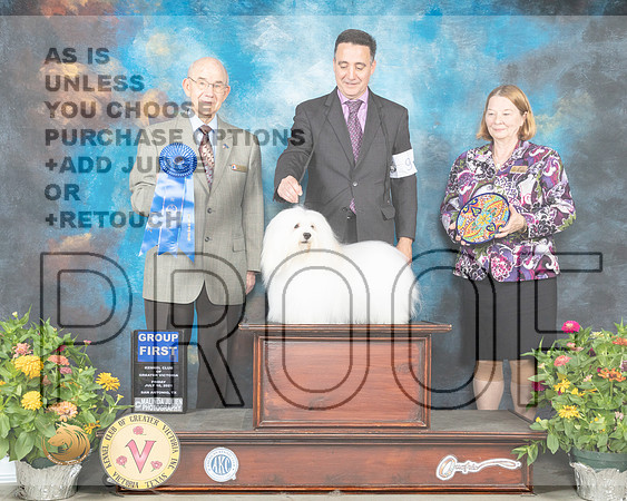 Coton #9 Fri G1 Judge Ken Buxton_MMJ_0880_SanAnonio2021_HR3