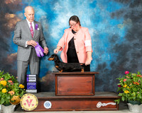 Dachshund Smooth #12 Fri WB Judge Robert Hutton