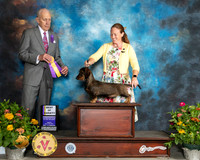 Dachshund Wire #12 Fri BOV Judge Robert Hutton