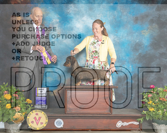 Dachshund Wire #12 Fri BOV Judge Robert Hutton_MMJ_0848_SanAnonio2021_HR3