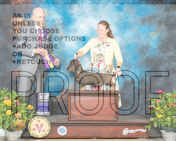 Dachshund Wire #12 Fri BOV Judge Robert Hutton_MMJ_0849_SanAnonio2021_HR3