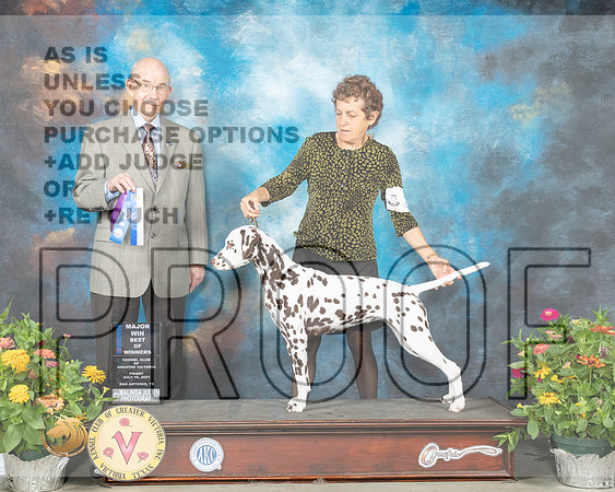 Dalmatian #24 Fri BOW Judge Ken Buxton_MMJ_0721_SanAnonio2021_HR3