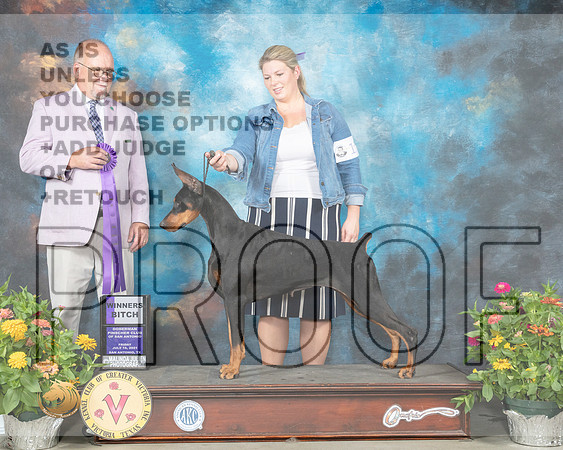 Doberman Pinscher #12 Fri WB Judge John Constantine Amodei_MMJ_0726_SanAnonio2021_HR3