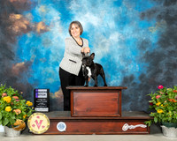 French Bulldog #16 Fri WB Judge Kenneth Buxton