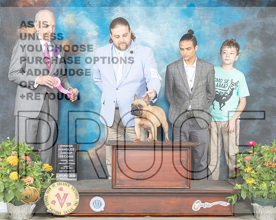 French Bulldog #28 Fri OHG1 Judge Robert Hutton_MMJ_0947_SanAnonio2021_HR3