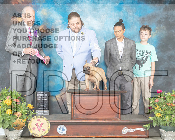 French Bulldog #28 Fri OHG1 Judge Robert Hutton_MMJ_0949_SanAnonio2021_HR3