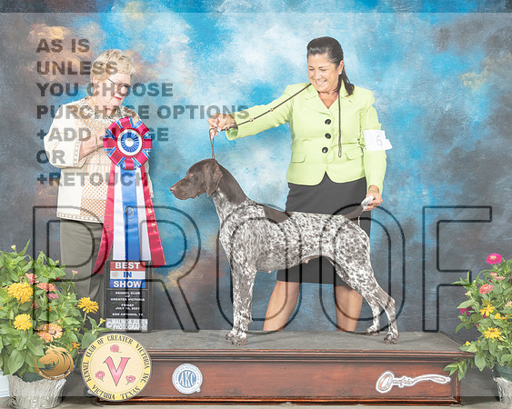 German Shorthaired Pointer #6 Fri BIS Judge Judy Brown_MMJ_1142_SanAnonio2021_HR3