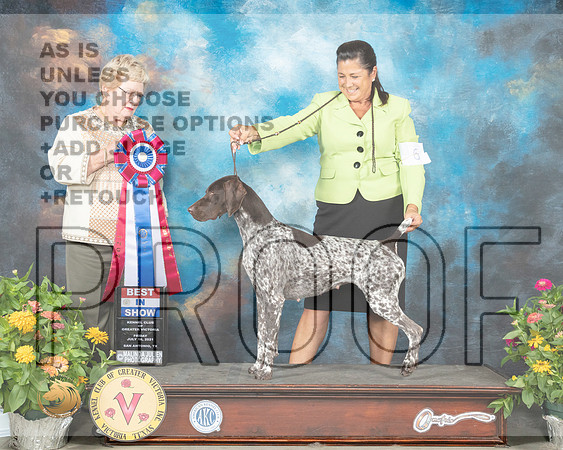 German Shorthaired Pointer #6 Fri BIS Judge Judy Brown_MMJ_1145_SanAnonio2021_HR3