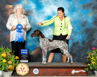 German Shorthaired Pointer #6 Fri G1 Judge Lori Nelson