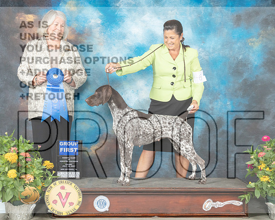 German Shorthaired Pointer #6 Fri G1 Judge Lori Nelson_MMJ_0998_SanAnonio2021_HR3