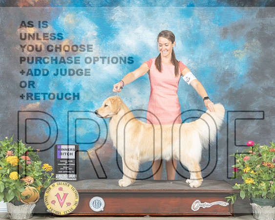 Golden Retriever #28 Fri WB Judge Johnny Shoemaker_MMJ_0866_SanAnonio2021_HR3
