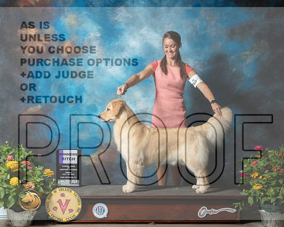 Golden Retriever #28 Fri WB Judge Johnny Shoemaker_MMJ_0867_SanAnonio2021_HR3