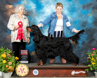 Gordon Setter #5 Fri G2 Judge Lori Nelson
