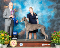 Greyhound #6 Fri G1 Judge Robert Hutton