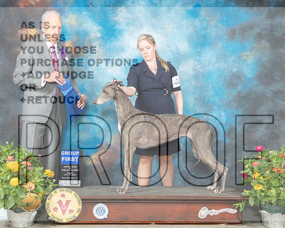 Greyhound #6 Fri G1 Judge Robert Hutton_MMJ_0830_SanAnonio2021_HR3