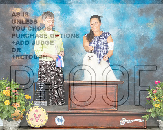 Maltese #11 Fri BOW Judge Donna Buxton_MMJ_1111_SanAnonio2021_HR3