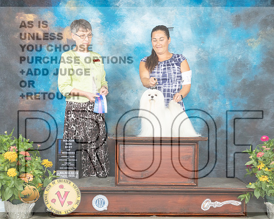Maltese #11 Fri BOW Judge Donna Buxton_MMJ_1113_SanAnonio2021_HR3