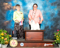 Maltese #16 Fri WBBOS Judge Donna Buxton