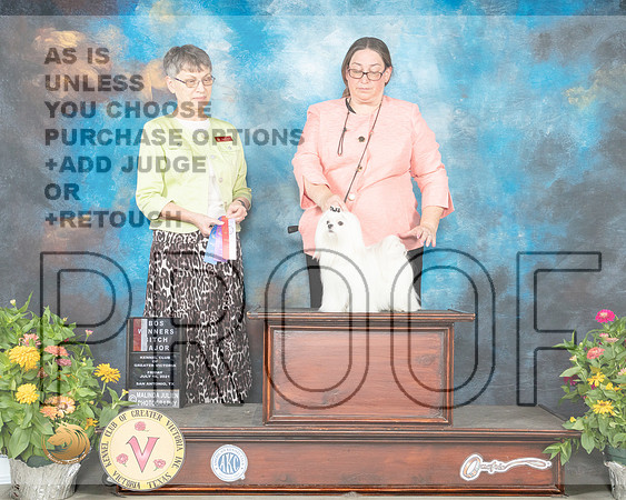 Maltese #16 Fri WBBOS Judge Donna Buxton_MMJ_1103_SanAnonio2021_HR3
