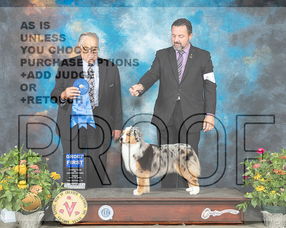 Miniature American Shepherd #14 Fri G1 Judge John Wade_MMJ_1122_SanAnonio2021_HR3