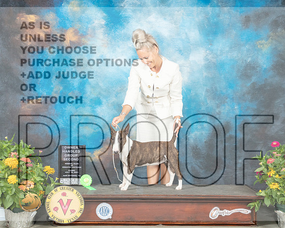 Miniature Bull Terrier #10 Fri OHG2 Judge John Wade_MMJ_1076_SanAnonio2021_HR3