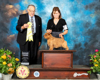 Norfolk Terrier #6 Fri G3 Judge John Wade