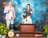Papillon #22 Fri G2 Judge John Constantine Amodei