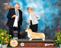 Pembroke Welsh Corgi #16 Fri G4 Judge John Wade