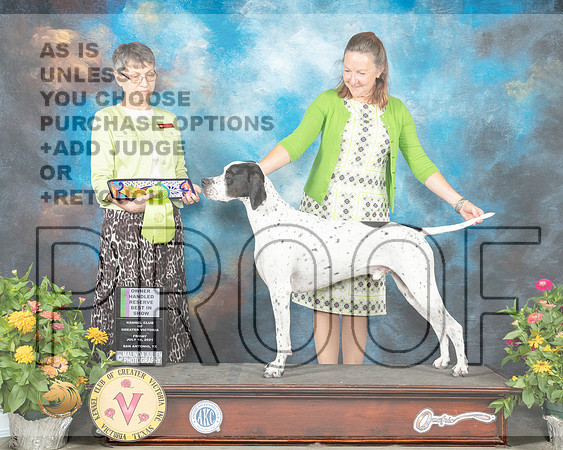 Pointer #7 Fri OHRBIS Judge Donna Buxton_MMJ_1196_SanAnonio2021_HR3