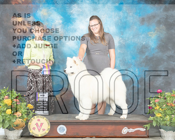 Samoyed #14 Fri BOB Judge Donna Buxton_MMJ_0809_SanAnonio2021_HR3