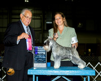 Schnauzer Miniature #18 Fri WD Judge John Wade