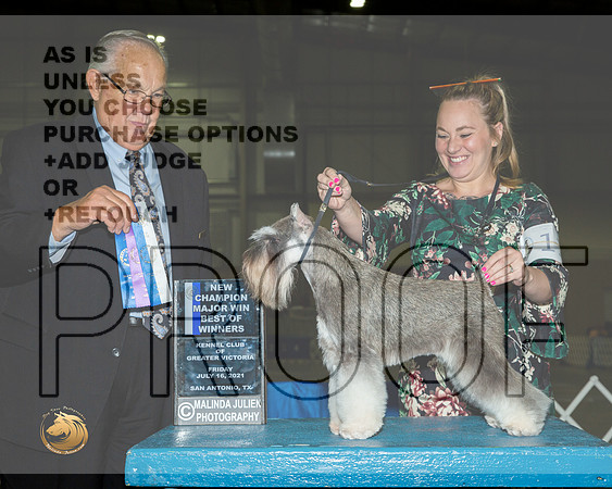 Schnazuer Miniature #11 Fri BOW Judge John Wade__MJ_3076_SanAnonio2021_HR3