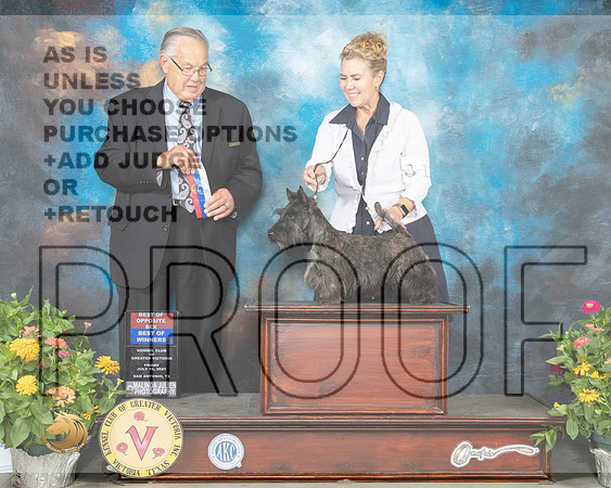 Scottish Terrier #12 Fri BOS Judge John Wade_MMJ_0959_SanAnonio2021_HR3