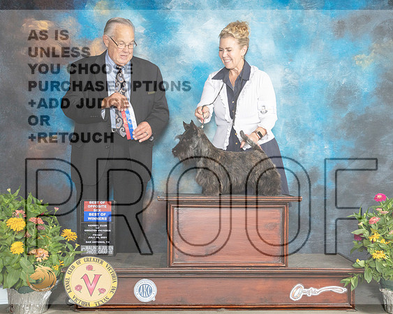 Scottish Terrier #12 Fri BOS Judge John Wade_MMJ_0961_SanAnonio2021_HR3