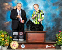 Scottish Terrier #23 Fri SD OHBOB Judge John Wade