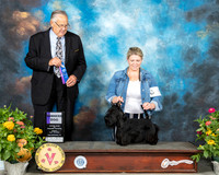 Scottish Terrier #7 Fri WD Judge John Wade