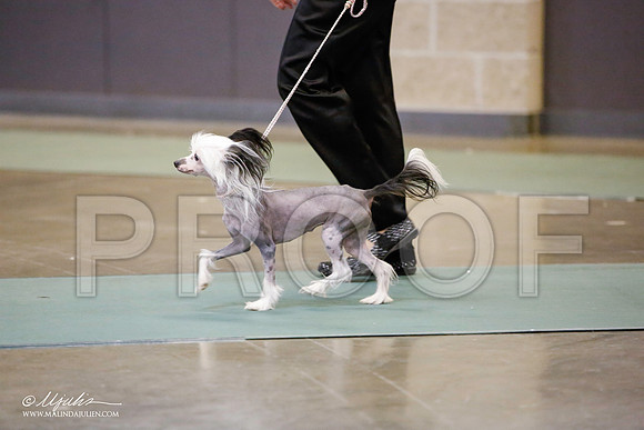 _JN_5435-BeltonJan2015-HR3