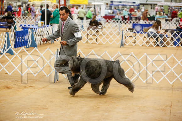 _JN_5293-TxArJun2014-HR3