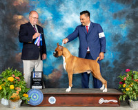 Boxer #11 Sat BOW Judge John Constantine Amodei