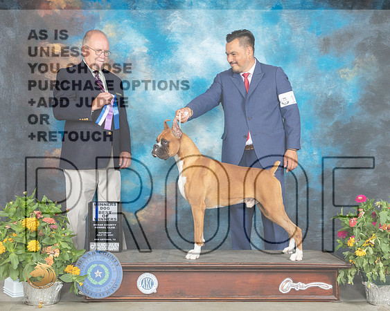 Boxer #11 Sat BOW Judge John Constantine Amodei_MMJ_1249_SanAnonio2021_HR3