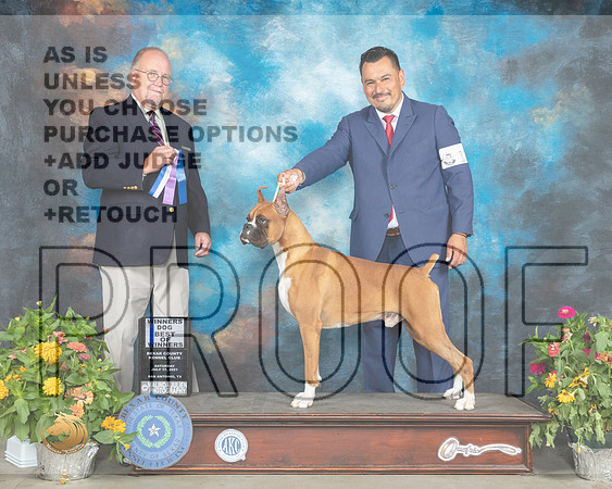 Boxer #11 Sat BOW Judge John Constantine Amodei_MMJ_1250_SanAnonio2021_HR3