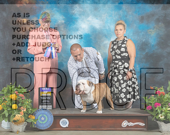 Bulldog #21 Sat BOB Judge Johnny Shoemaker_MMJ_1304_SanAnonio2021_HR3