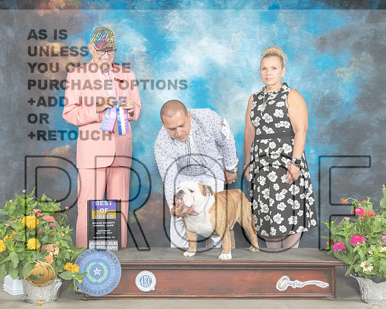 Bulldog #21 Sat BOB Judge Johnny Shoemaker_MMJ_1307_SanAnonio2021_HR3